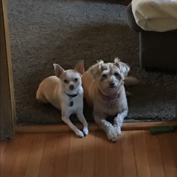 Meet your Posher, Kristine - Picture 1 of 1